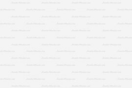 picjumbo.com_HNCK7685
