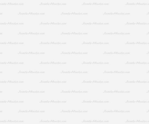 picjumbo.com_HNCK7388